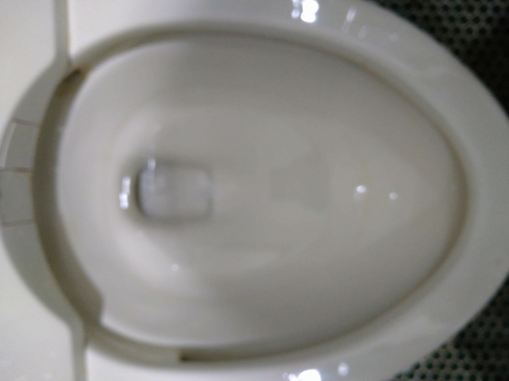 寝屋川市トイレつまり