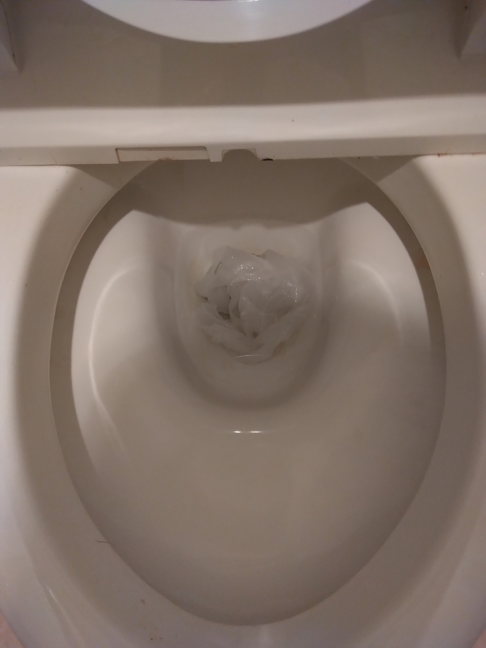 寝屋川市トイレつまり