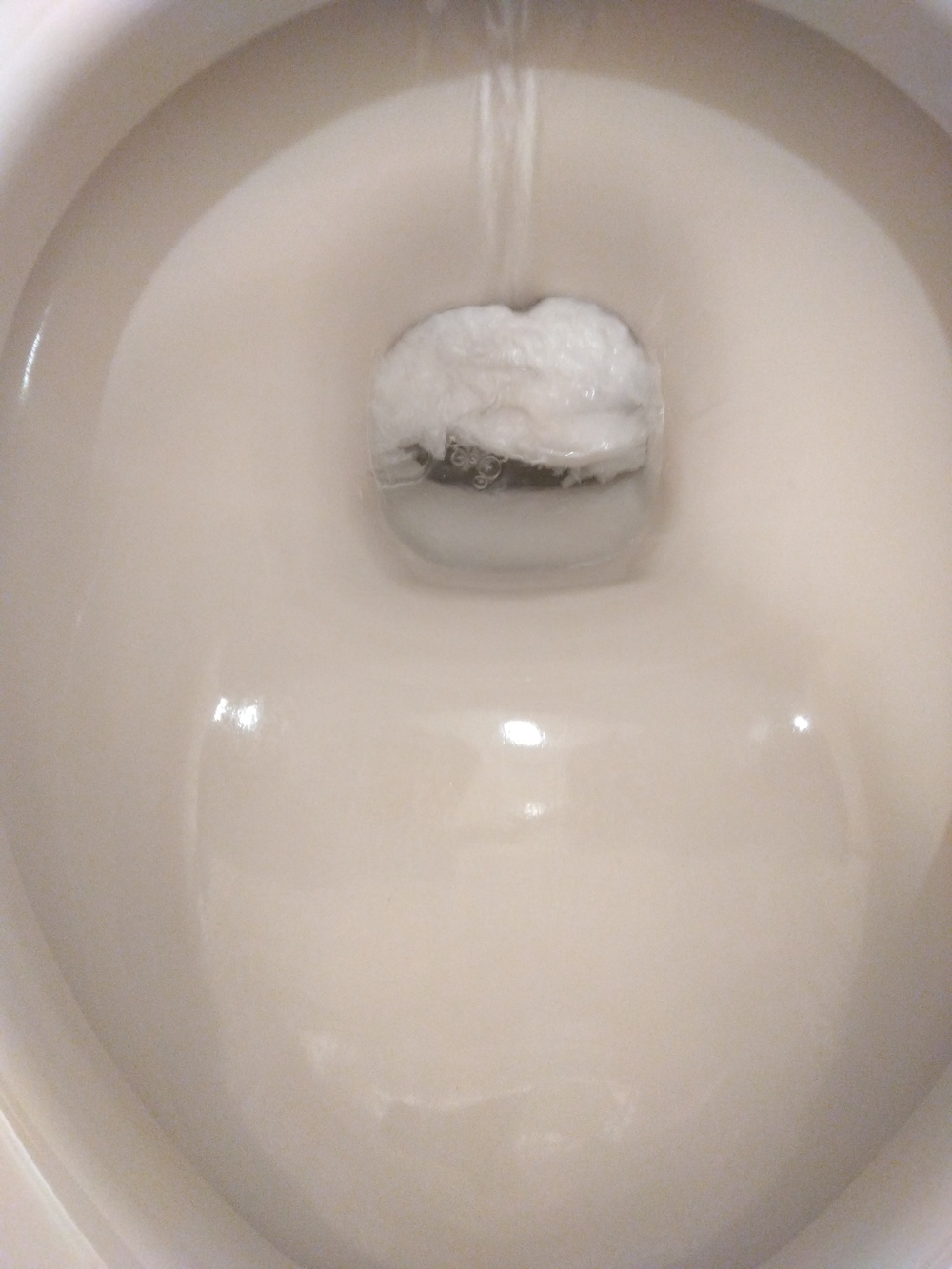 寝屋川市トイレつまり