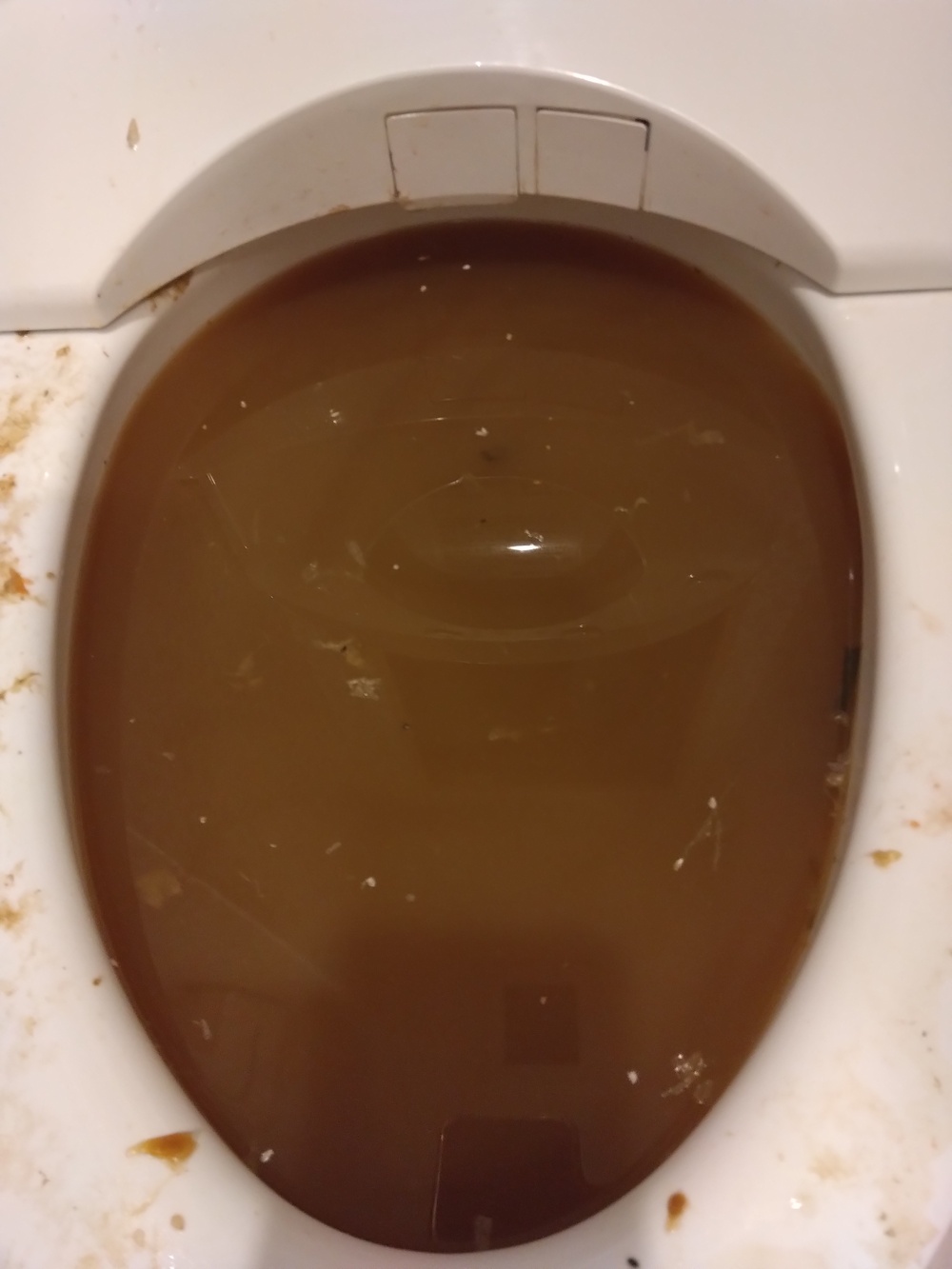 寝屋川市トイレつまり